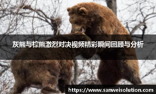 灰熊与棕熊激烈对决视频精彩瞬间回顾与分析